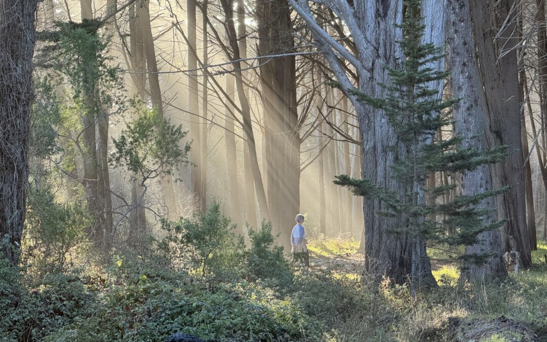 Rearview Mirror Memories of November 2025 Bolinas Quilt Retreat