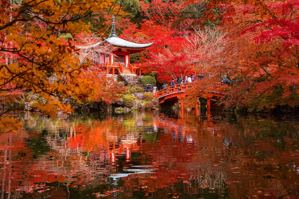 Travel with me to Japan in Fall 2027!